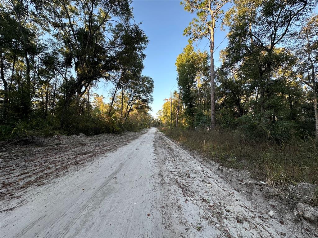 A sandy, unpaved road stretches forward through a wooded area under a clear blue sky — 150 SE 926TH STREET, OLD TOWN, FL