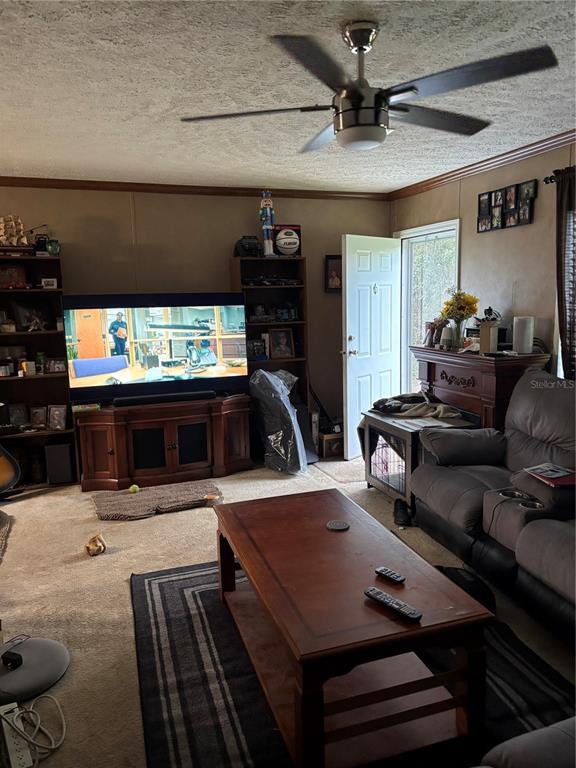 A living room features a ceiling fan, a television on a wooden stand, and furniture — 5828 BRYCE STREET, KEYSTONE HEIGHTS, FL