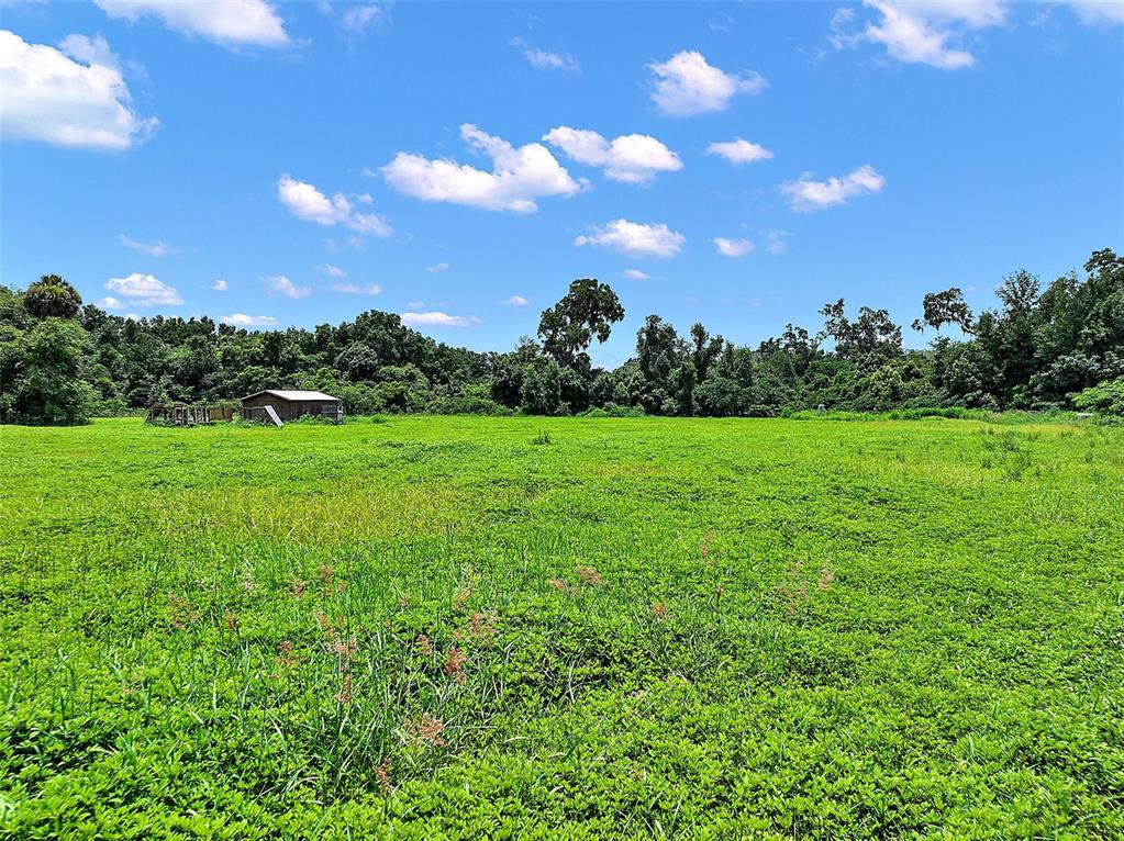 A small wooden shed sits in a large, grassy field bordered by a dense forest — 15785 NW 33RD TERRACE, REDDICK, FL