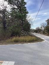 12449 INDIGO BUNTING ROAD, WEEKI WACHEE, FL — photo 2 of 5