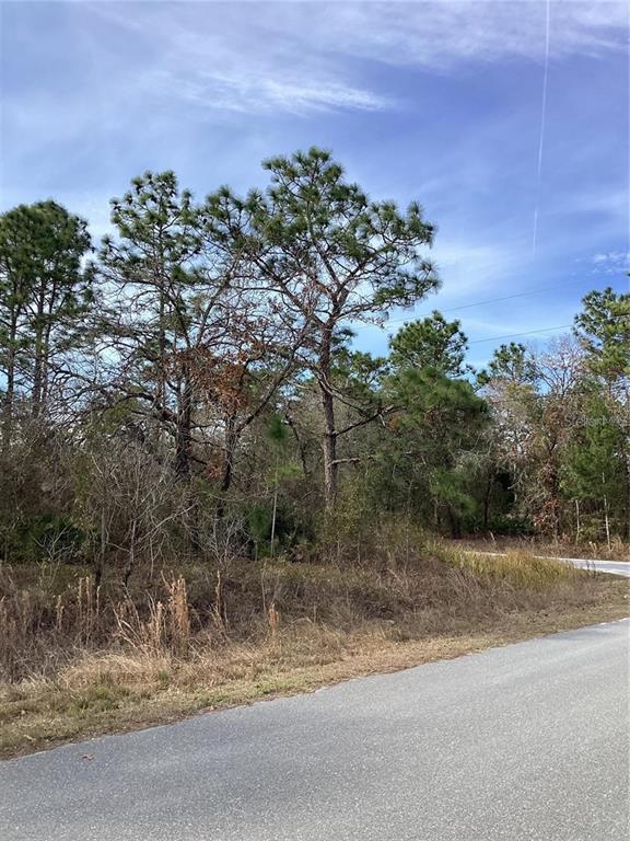 12449 INDIGO BUNTING ROAD, WEEKI WACHEE, FL — photo 4 of 5