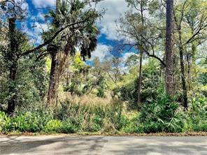 125 MATANZAS ROAD, DEBARY, FL — photo 2 of 2