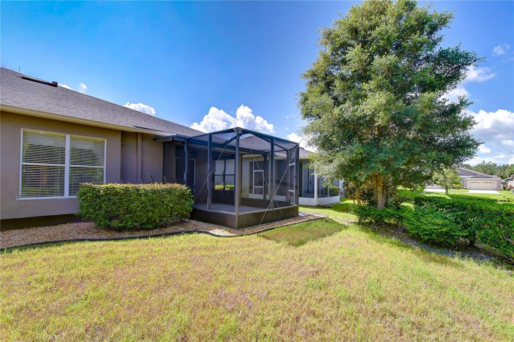 The exterior of a house features a screened-in porch, a grassy yard, and a large tree — 1127 WRIGHTSWYNDE COURT, WESLEY CHAPEL, FL