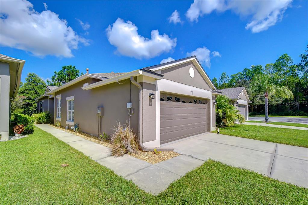 A side view of a single-story house with a brown garage door and concrete driveway — 1127 WRIGHTSWYNDE COURT, WESLEY CHAPEL, FL