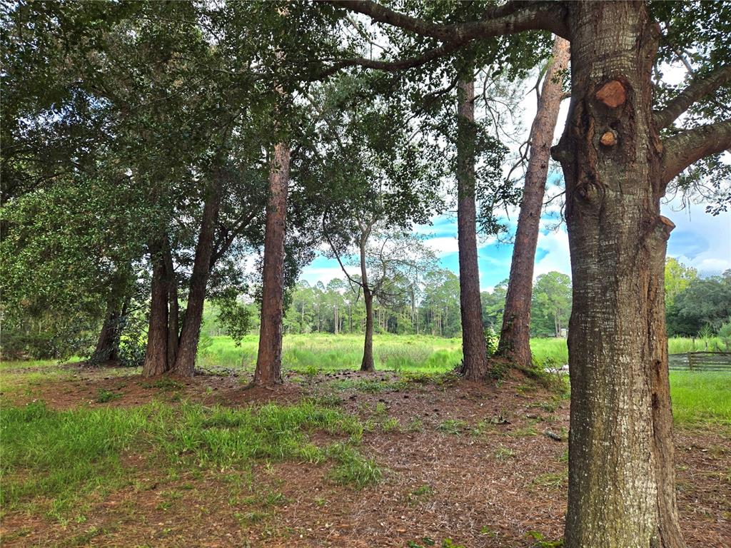 1709 SE 169TH TERRACE ROAD, SILVER SPRINGS, FL — photo 2 of 14