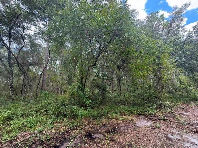 189 N OAKWOOD TERRACE, INVERNESS, FL — photo 4 of 11