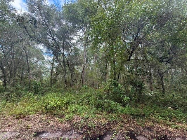 189 N OAKWOOD TERRACE, INVERNESS, FL — photo 5 of 11