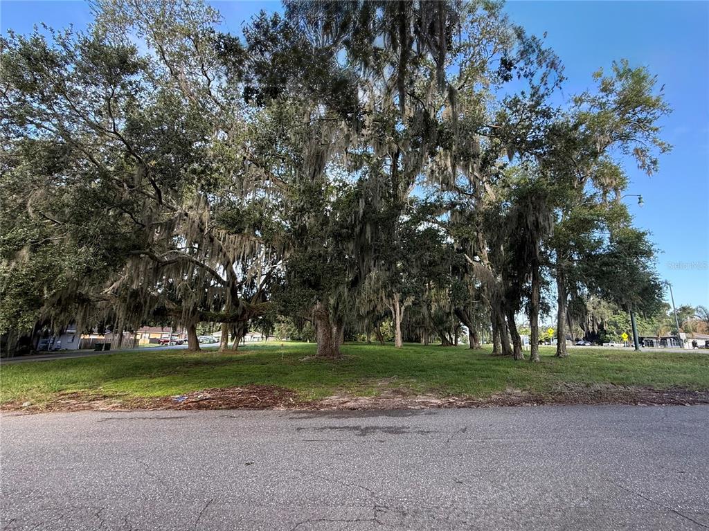 A grassy, tree-covered vacant lot sits along a paved street under a clear blue sky — 1130 MCNAMEE ST HWY 441 HIGHWAY, LEESBURG, FL