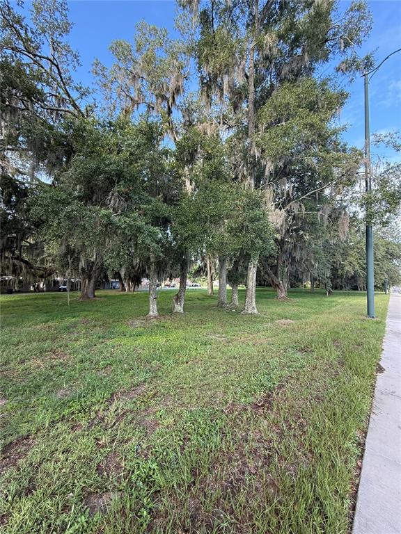 A grassy, tree-filled lot sits adjacent to a sidewalk under a clear blue sky — 1130 MCNAMEE ST HWY 441 HIGHWAY, LEESBURG, FL