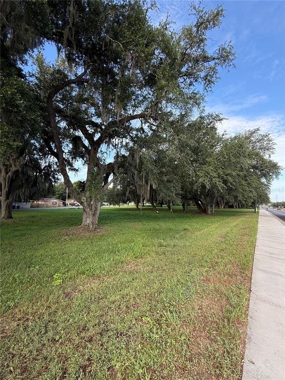 A grassy lot features several large, mature oak trees draped with Spanish moss — 1130 MCNAMEE ST HWY 441 HIGHWAY, LEESBURG, FL