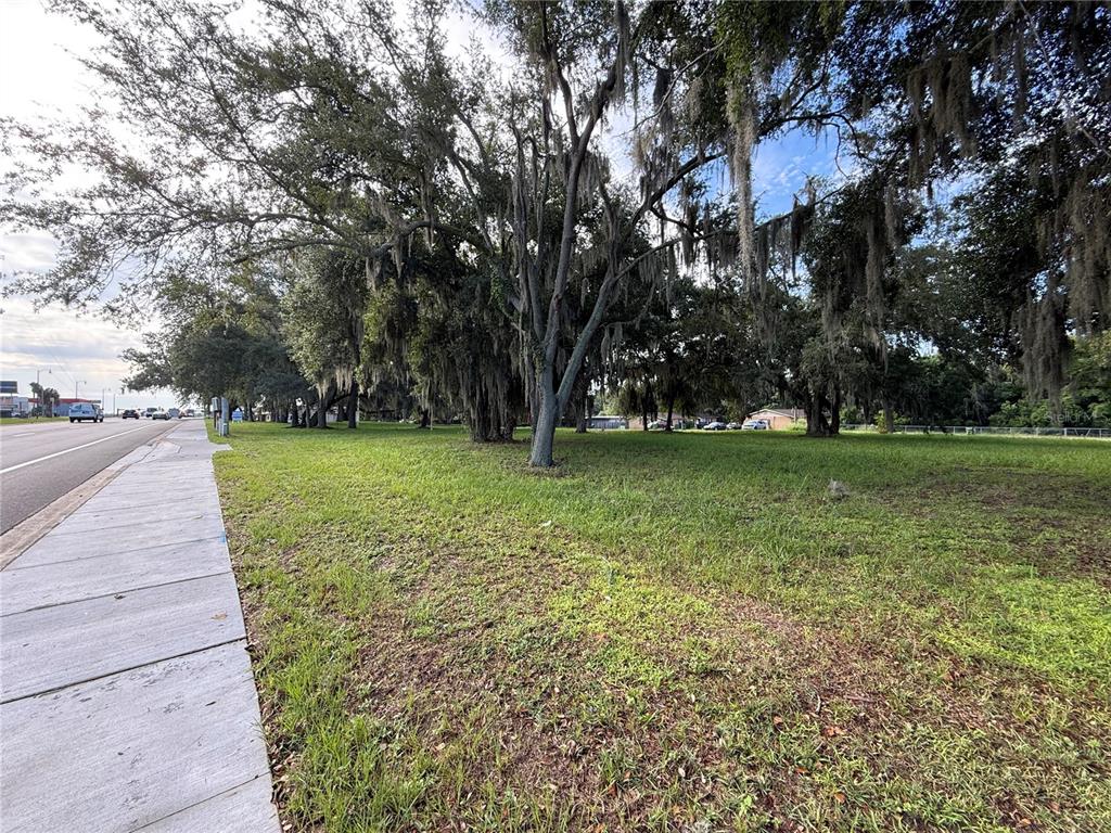 A grassy, tree-lined vacant lot sits adjacent to a paved road and sidewalk — 1130 MCNAMEE ST HWY 441 HIGHWAY, LEESBURG, FL