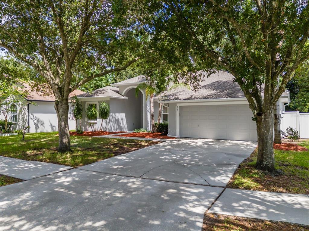 A single-story gray house with a two-car garage and a concrete driveway under trees — 220 TAYLOR BAY LANE, BRANDON, FL