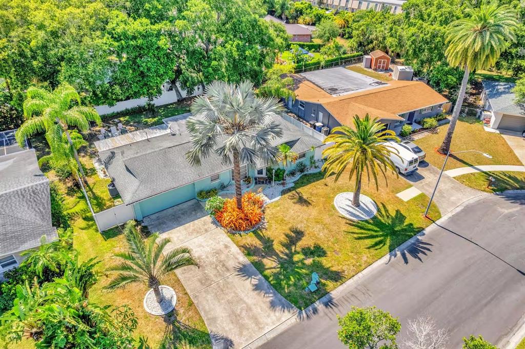 An aerial view shows a single-story house with a palm tree-filled yard and driveway — 1968 SOUVENIR DRIVE, CLEARWATER, FL