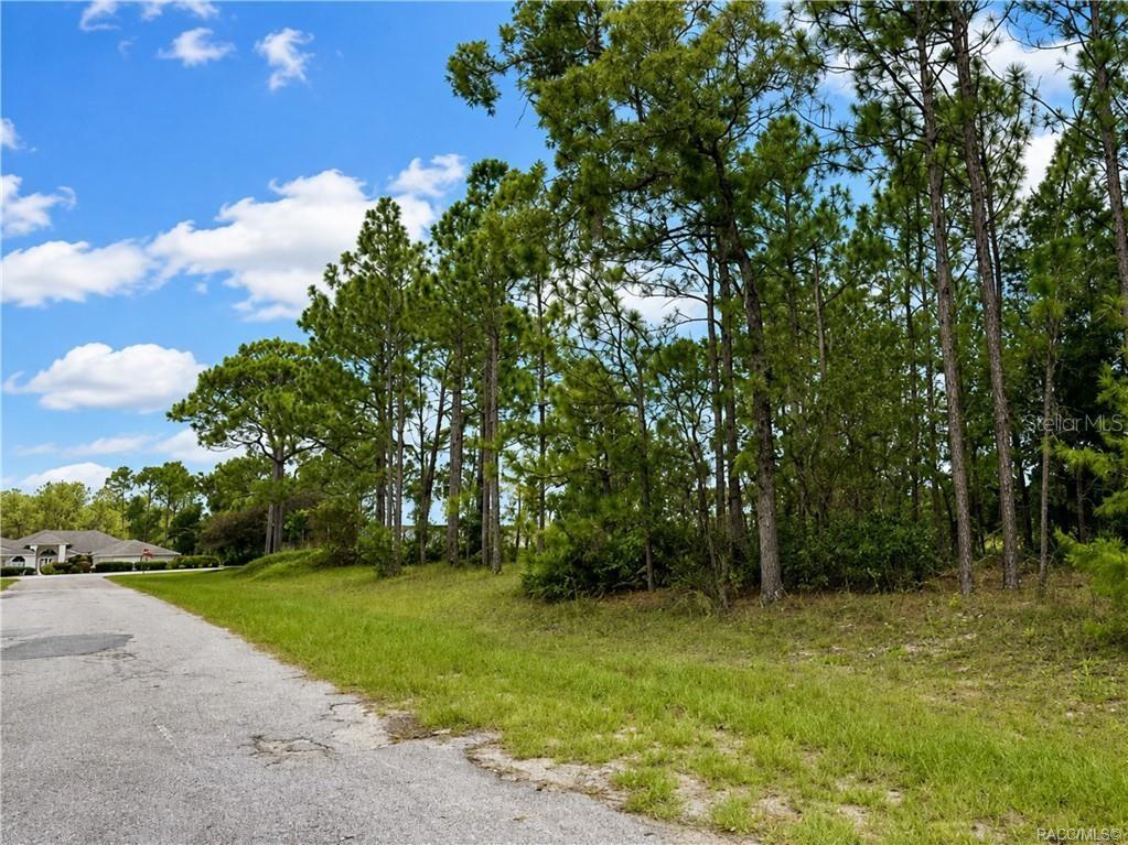 A paved road leads past a grassy lot filled with pine trees under a blue sky — 7938 N RYAN WAY, CITRUS SPRINGS, FL