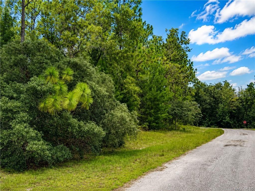 A paved road curves past a wooded lot with dense green trees and shrubs — 7938 N RYAN WAY, CITRUS SPRINGS, FL