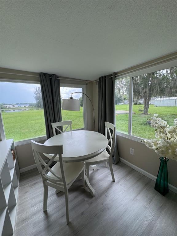 20847 LAKE PATIENCE ROAD, LAND O LAKES, FL — photo 3 of 7
