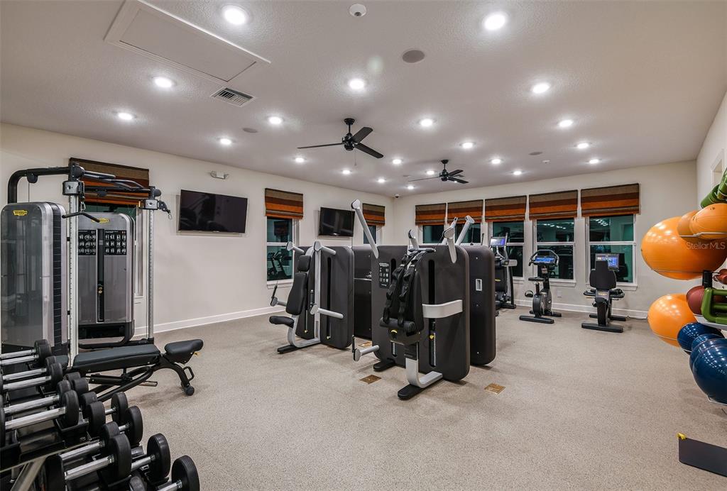 A gym room features various exercise machines, dumbbells, and stability balls on a carpeted floor — 7545 LAUREATE BOULEVARD UNIT 7303, ORLANDO, FL