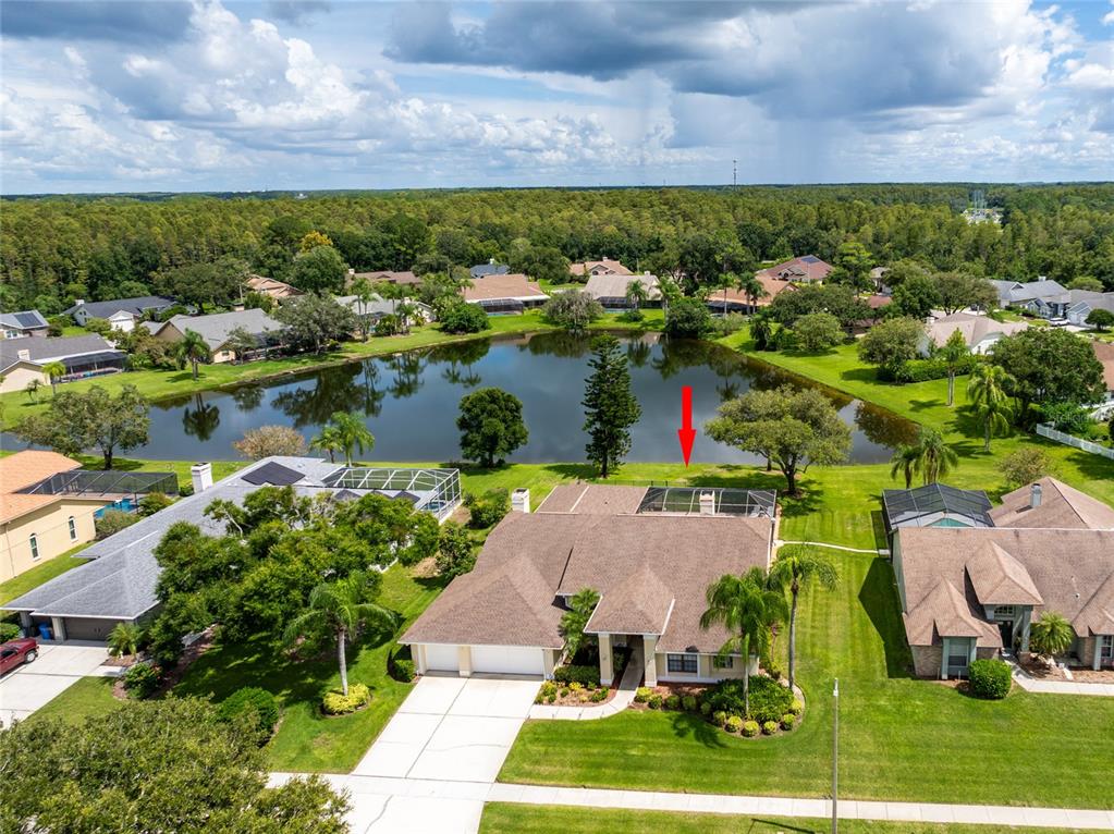 17509 TALLY HO COURT, ODESSA, FL — photo 2 of 23