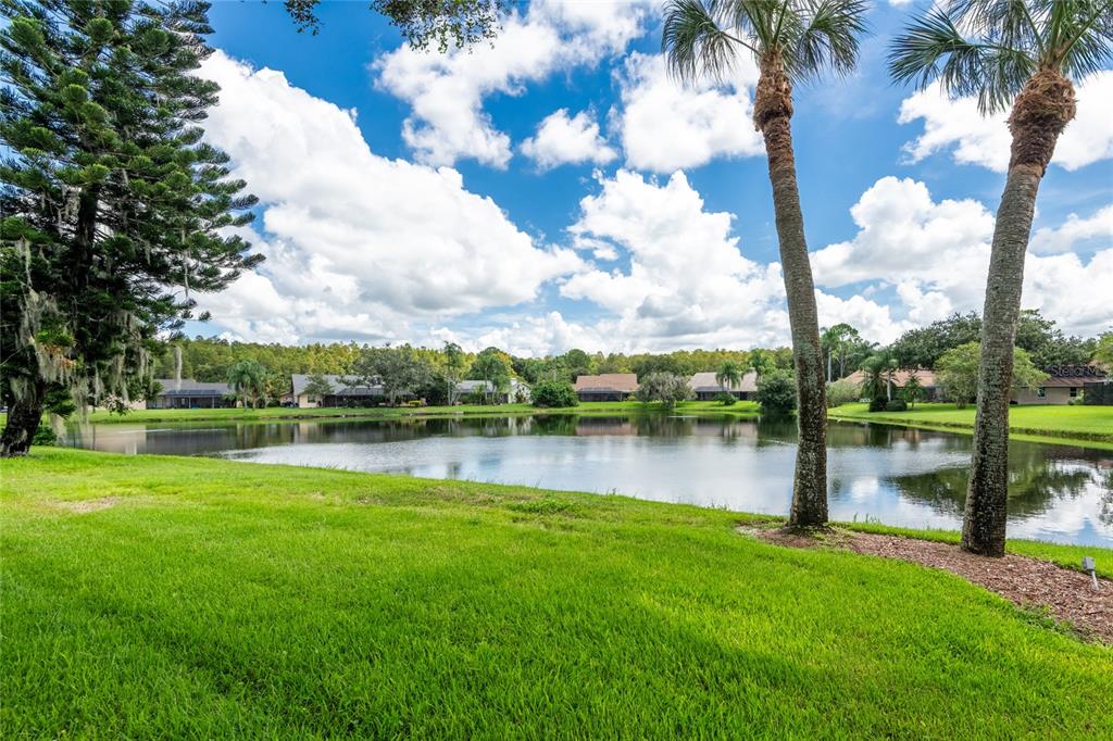 17509 TALLY HO COURT, ODESSA, FL — photo 5 of 23