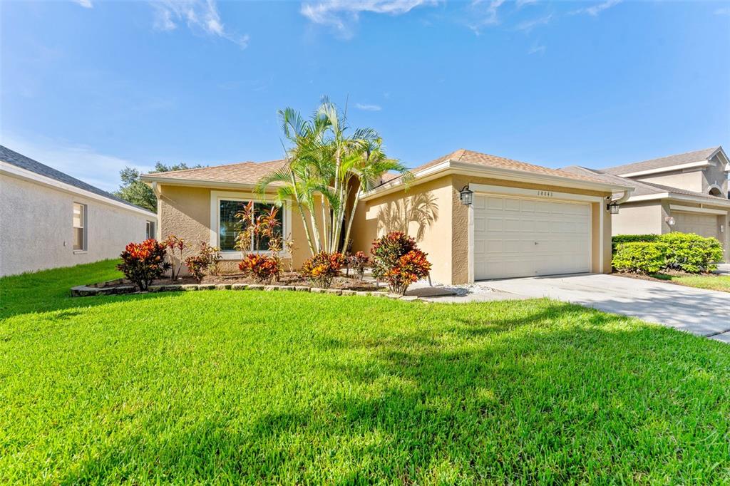 A single-story suburban house with a tan stucco exterior, a two-car garage, and palm landscaping — 18843 MAISONS DRIVE, LUTZ, FL