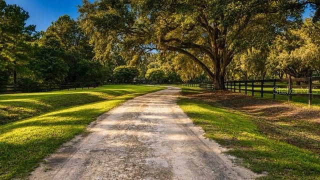 A dirt driveway leads through a grassy landscape lined with large trees and wooden fencing — 16525 SW 5TH PLACE, NEWBERRY, FL