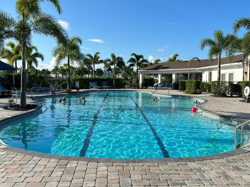 A swimming pool with lap lanes and palm trees surrounded by a stone paver deck — 12760 LATERAL ROOT DRIVE, SARASOTA, FL