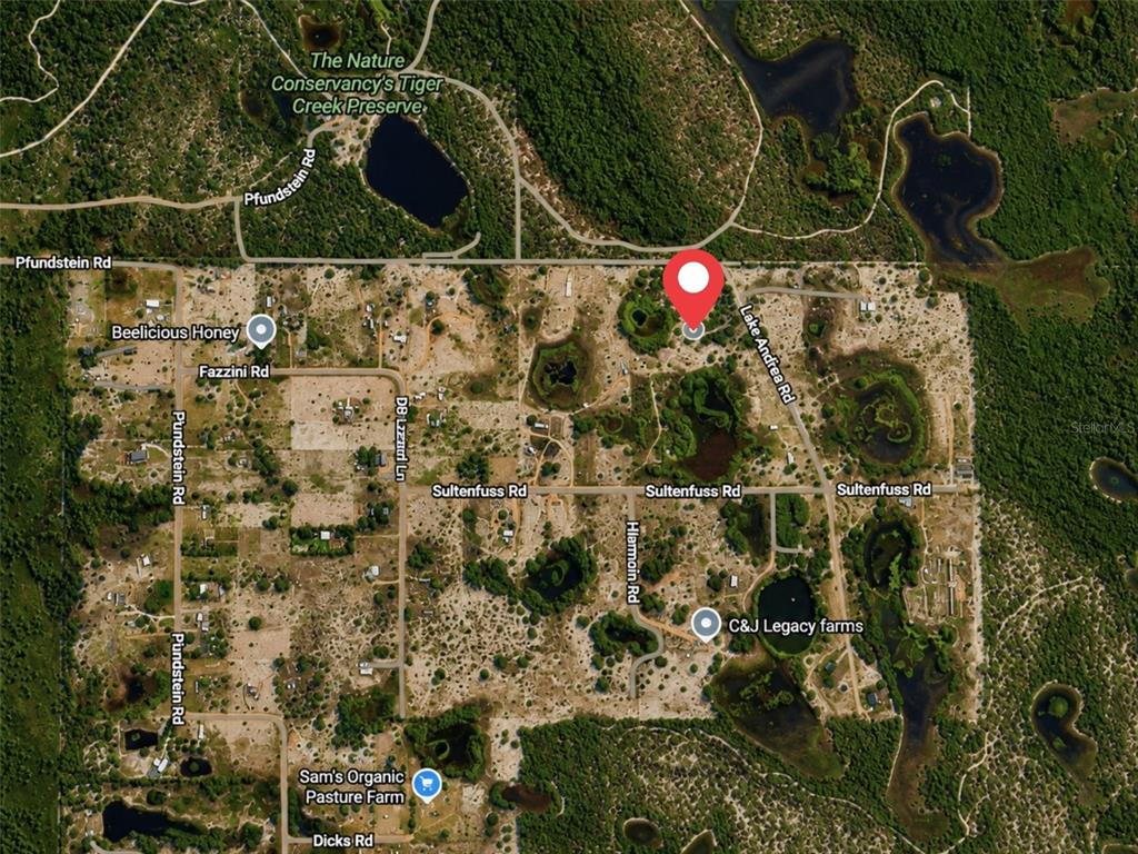 This is a satellite map showing a rural area with roads, ponds, and wooded lots — LAKE ANDREA RD, BABSON PARK, FL