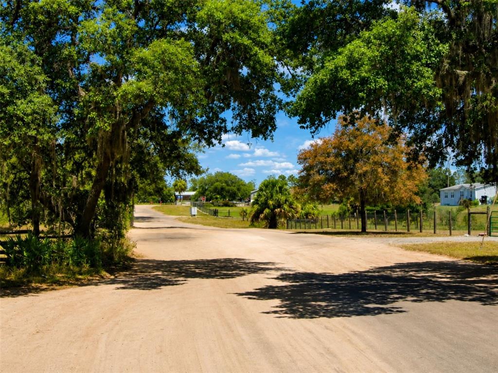 A dirt road leads through a tree-lined residential area toward houses under a blue sky — LAKE ANDREA RD, BABSON PARK, FL