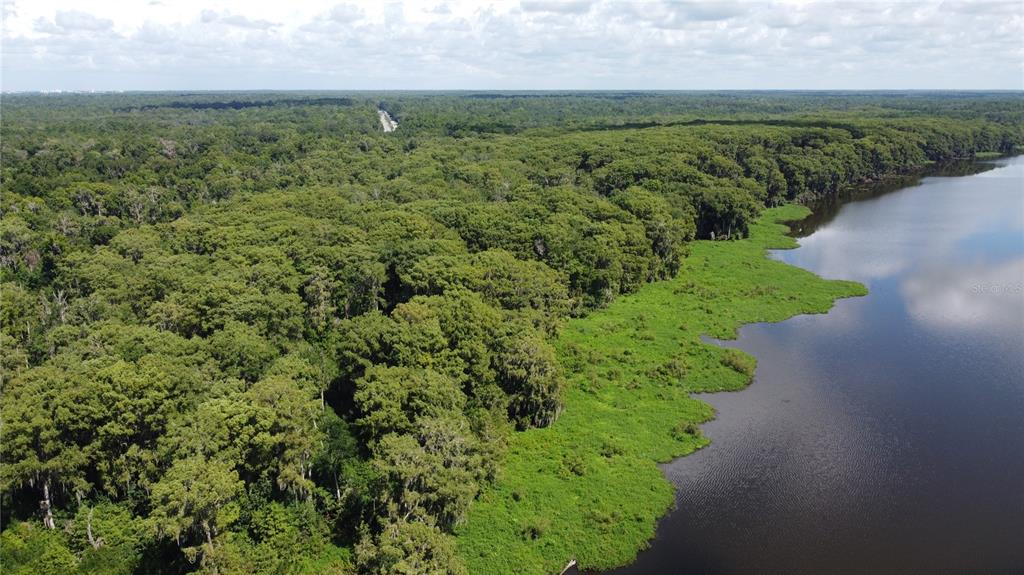 An aerial view shows a dense forest bordering a large lake with green shoreline vegetation — SE HAWTHORNE ROAD, GAINESVILLE, FL