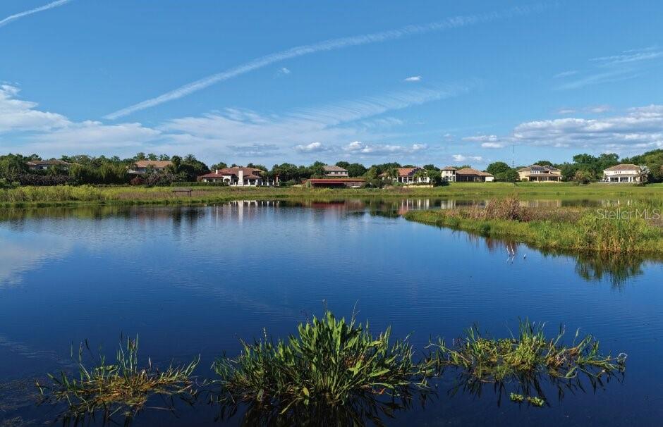 A calm pond reflects the blue sky and surrounding houses in a residential neighborhood — 9717 MORTON JONES ROAD, GOTHA, FL
