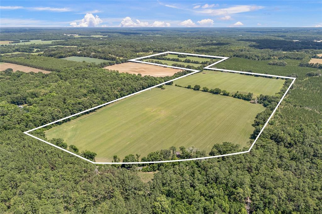 An aerial view shows a large, open agricultural field outlined in white amidst surrounding forest — 227TH DRIVE, HIGH SPRINGS, FL