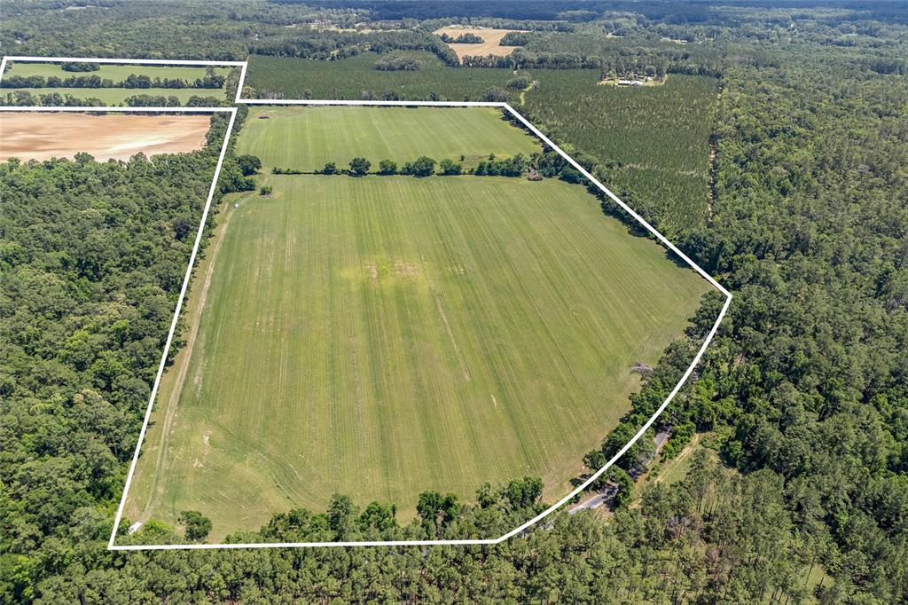 An aerial view shows a large, open agricultural field bordered by dense forest and trees — 227TH DRIVE, HIGH SPRINGS, FL