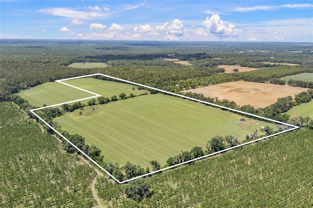 An aerial view shows a large, rectangular grassy field outlined in white against surrounding woods — 227TH DRIVE, HIGH SPRINGS, FL