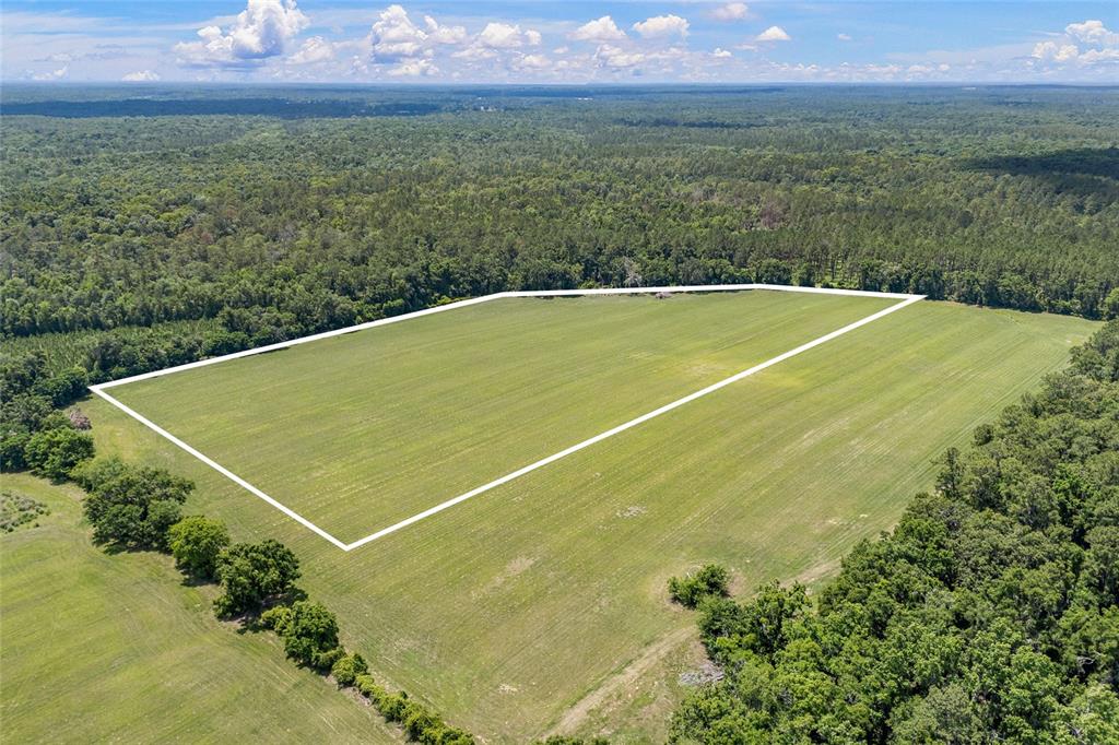 An aerial view shows a large, rectangular grassy field outlined in white, surrounded by forest — 227TH DRIVE, HIGH SPRINGS, FL