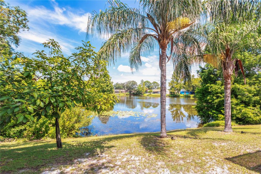 4311 COUNTY BREEZE DRIVE, NEW PORT RICHEY, FL — photo 4 of 30