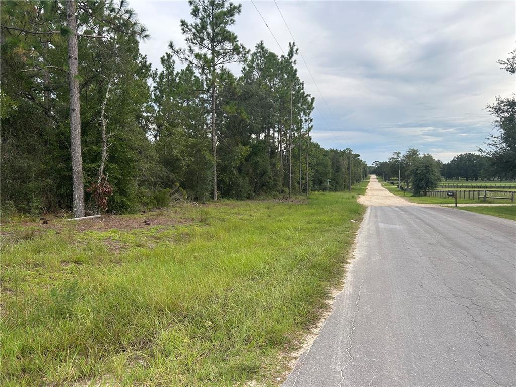 A paved road transitions to a dirt path beside a grassy lot and pine trees — TBD NE 150TH AVENUE, WILLISTON, FL