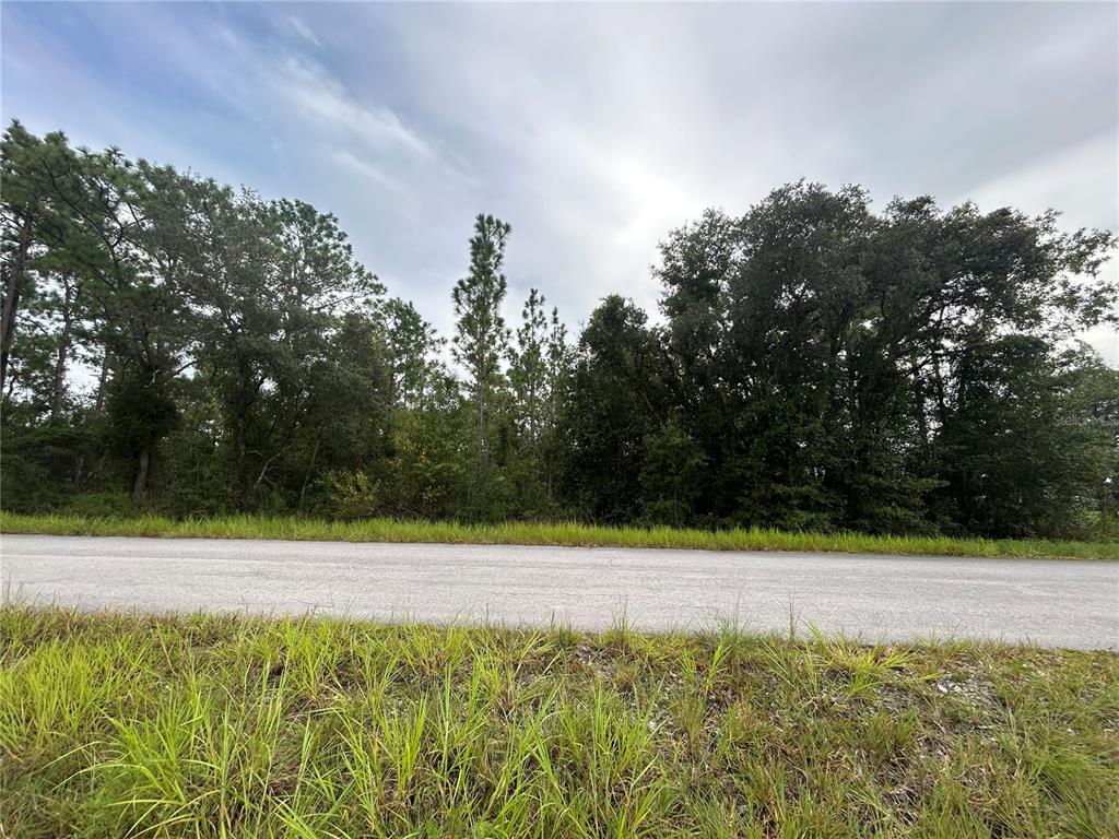 A paved road runs in front of a dense, wooded lot under a cloudy sky — TBD NE 150TH AVENUE, WILLISTON, FL