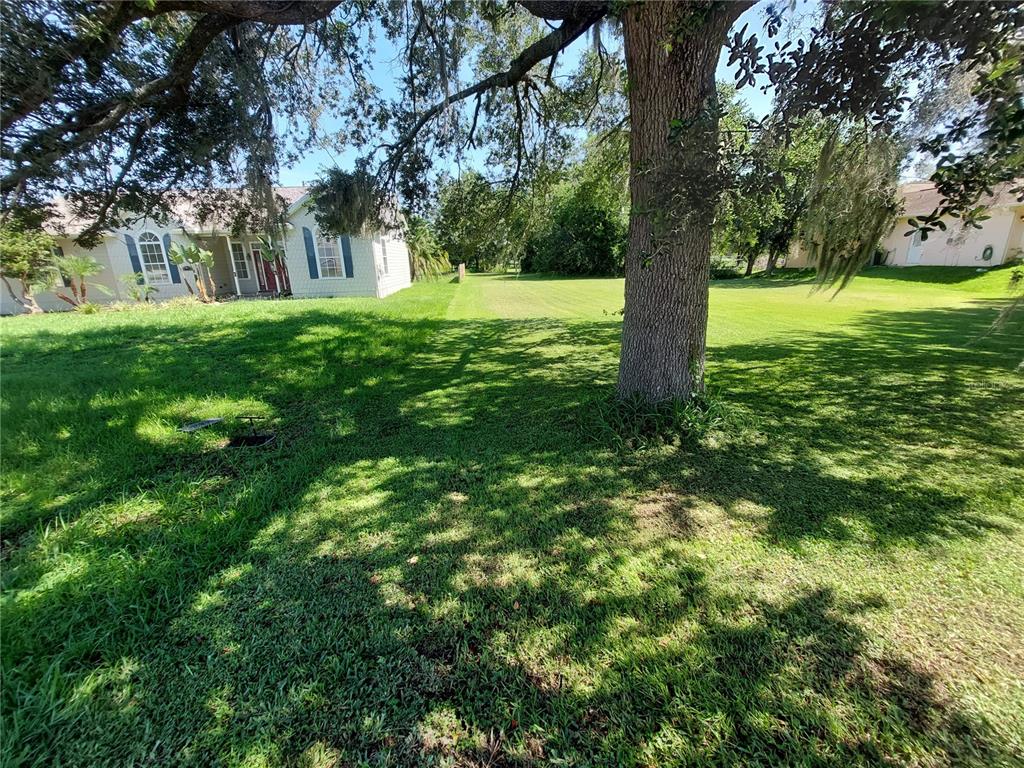 A large oak tree stands in a grassy yard between two suburban houses — WALDO, DADE CITY, FL