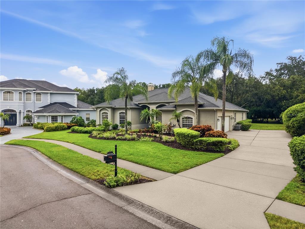 4034 EXECUTIVE DRIVE, PALM HARBOR, FL — photo 4 of 30