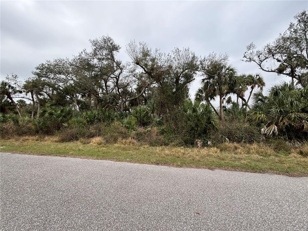 A paved road runs in front of a densely wooded lot with trees and palms — GREENLEY CIRCLE, NORTH PORT, FL