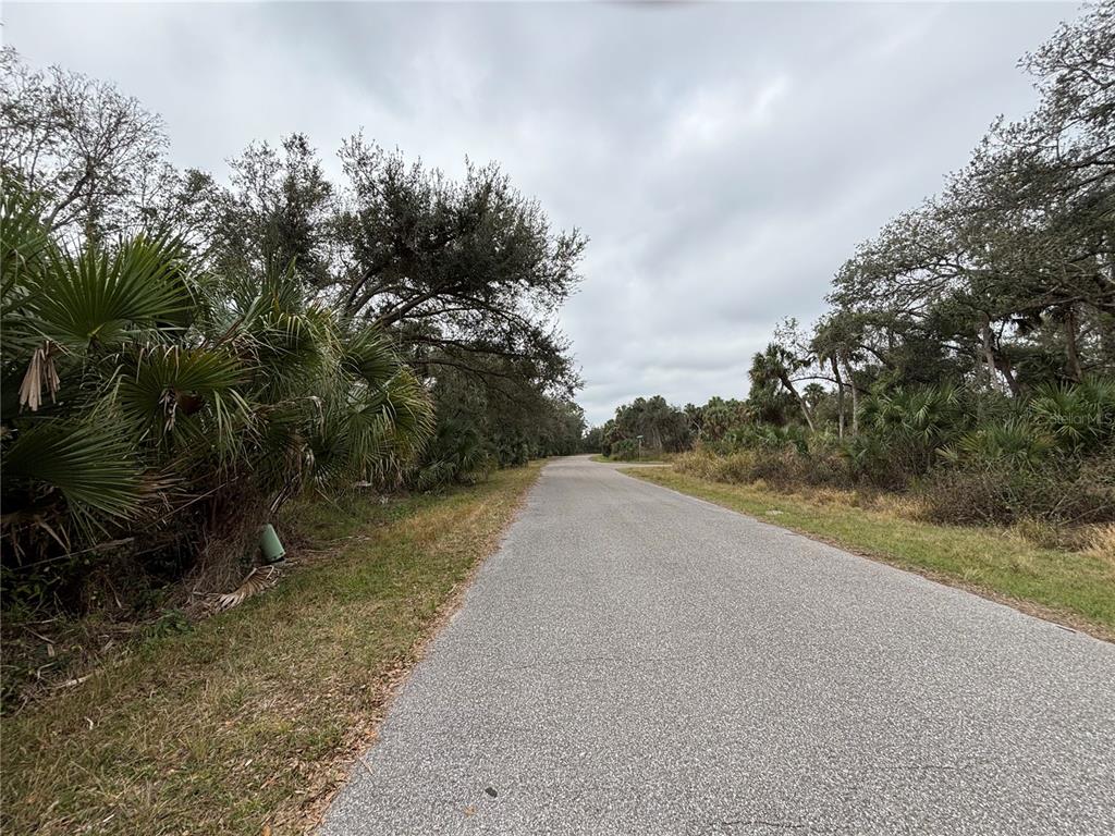 A paved road stretches through a wooded area with palm trees and dense vegetation — GREENLEY CIRCLE, NORTH PORT, FL