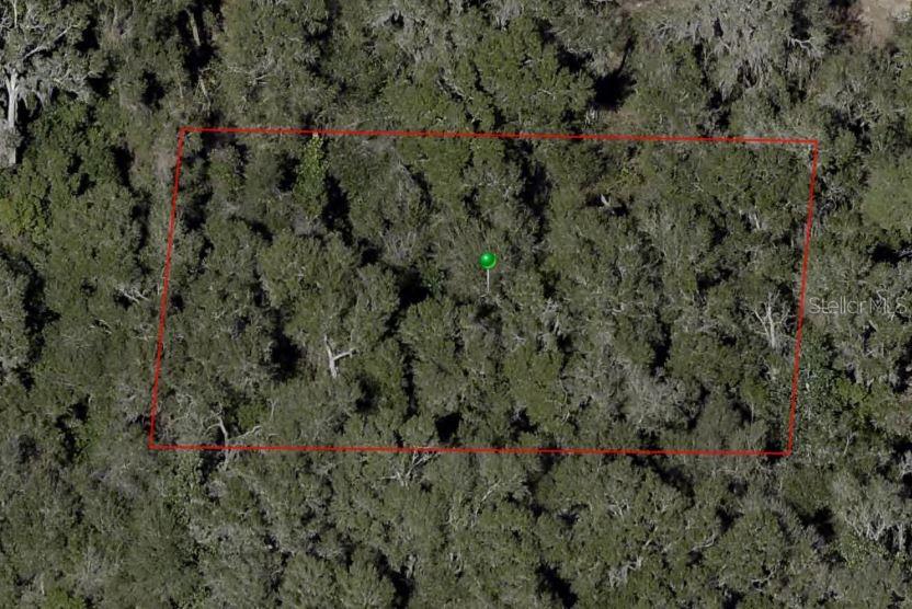 An aerial view shows a rectangular plot of land outlined in red amidst dense trees — E BERLIN STREET, DE LEON SPRINGS, FL
