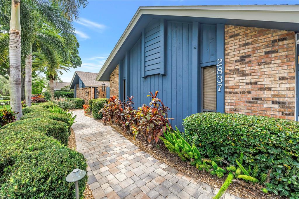 A paved walkway leads to the entrance of a blue house with brick accents — 2837 SABER DRIVE, CLEARWATER, FL