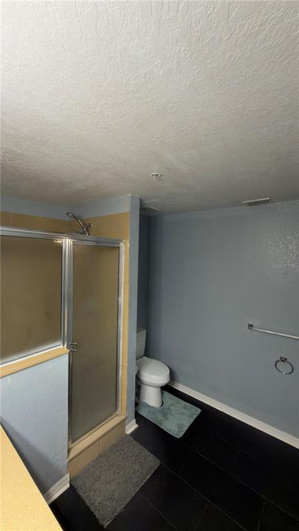 A bathroom features a glass-enclosed shower, a white toilet, and dark flooring — 5031 SUNRIDGE PALMS DRIVE, TAMPA, FL