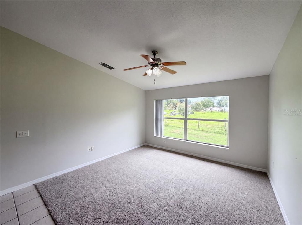 An empty bedroom features beige carpet, light-colored walls, a ceiling fan, and a large window — 37209 GRASSY HILL LANE, DADE CITY, FL