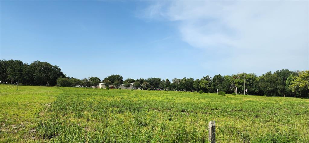 A large, grassy field with a wire fence in the foreground and trees in the distance — US-17 & 1ST STREET E, PIERSON, FL