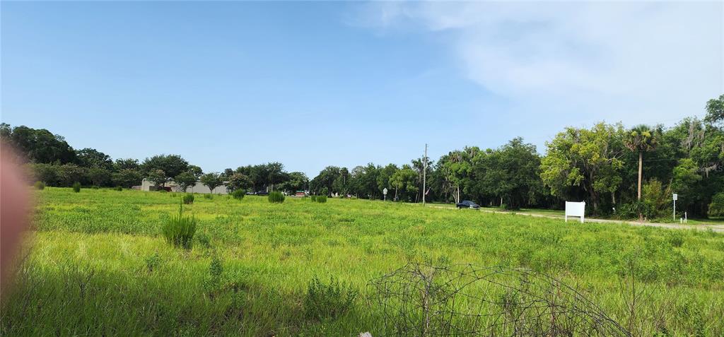 A large, grassy, undeveloped plot of land with trees and a road in the background — US-17 & 1ST STREET E, PIERSON, FL