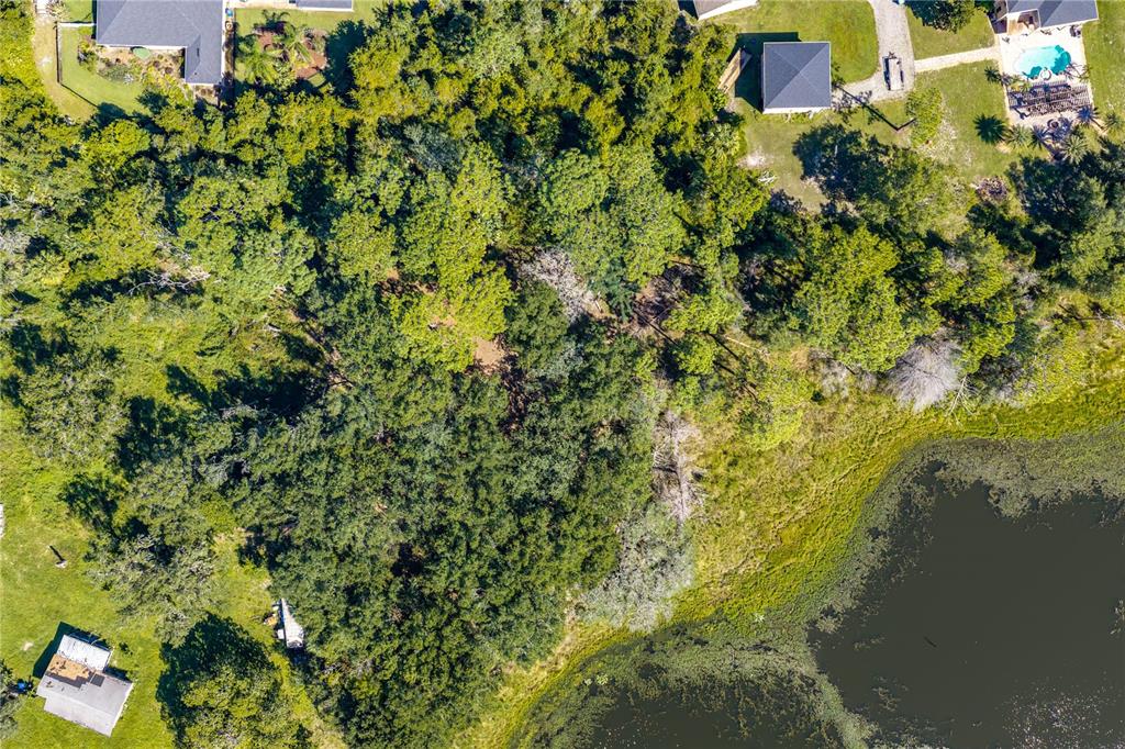 N/A DOYLE RD, OSTEEN, FL — photo 2 of 30
