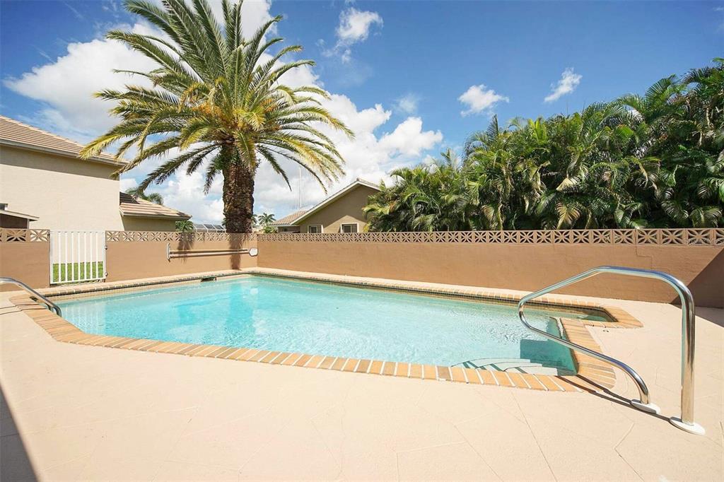 A rectangular swimming pool with a palm tree and a tan privacy wall in the background — 901 SW 51ST TERRACE, CAPE CORAL, FL