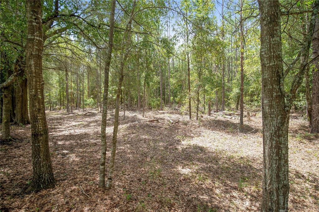 NE CR 337, HIGH SPRINGS, FL — photo 2 of 20